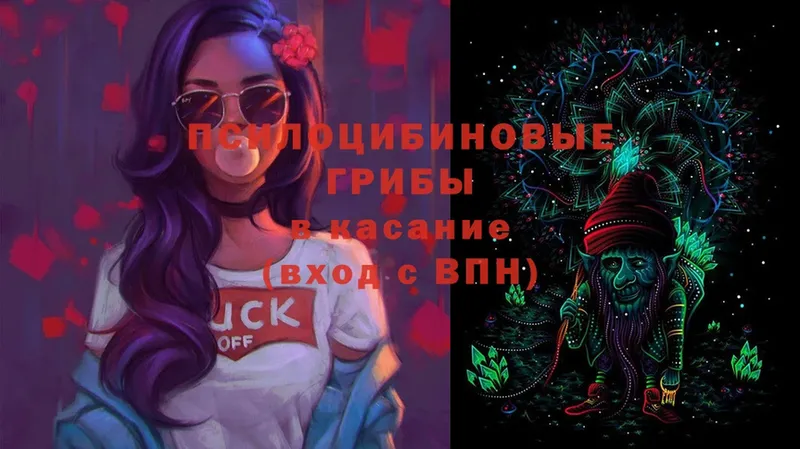 Галлюциногенные грибы Cubensis  Шуя 