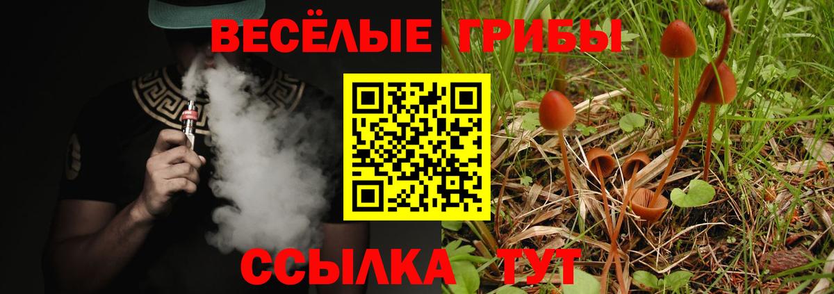 Псилоцибиновые грибы Cubensis Шуя