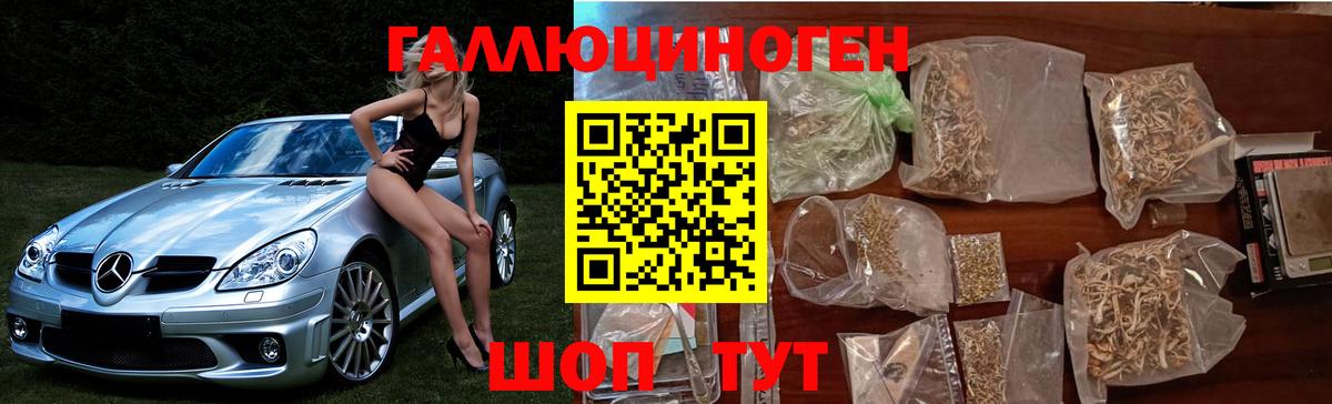 Галлюциногенные грибы Magic Shrooms  Вход с VPN  Шуя 